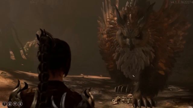 Baldurs Gate 3 How to Get the OwlBear Cub - FAST & EASY смотреть онлайн