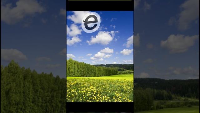 время года #зима #весна #осень #лето смотреть онлайн