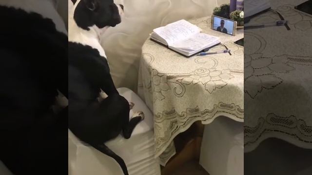 Онмакабим вебинар!! смотреть онлайн