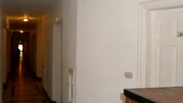 Сети Шарм Пальм Бич Резорт смотреть онлайн