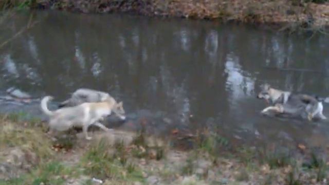 Roestelberg 13-01-2007