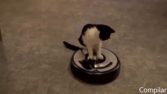 Кот и пылесос смотреть онлайн