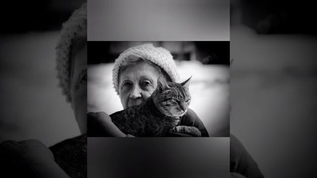 Кот ждал и не уходил с места 2 недели, ежедневно сторожа дом. смотреть онлайн