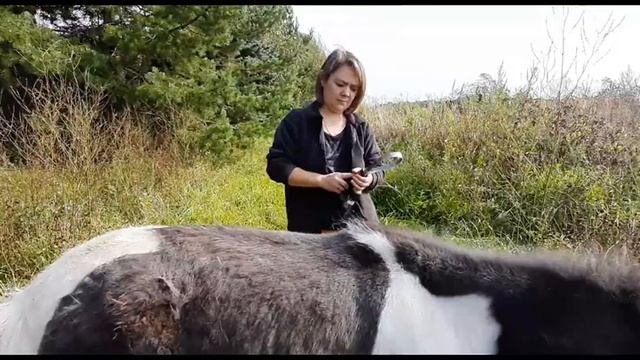 Копна волос,всем женщинам на зависть /шикарная грива смотреть онлайн