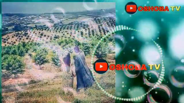 Энг ХИТ ШУХ ТЕРМА КУШИКЛАР РАКСБОБ