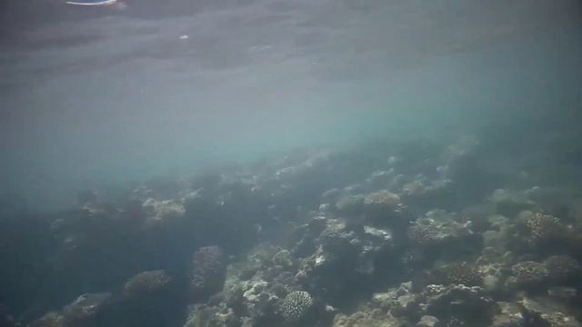 Дахаб, Египет. Март 2021 смотреть онлайн