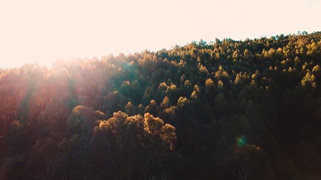 Самая Лучшая Музыка Для Снятия Усталости! Достаточно послушать 10 минут, чтобы отдохнуть смотреть онлайн