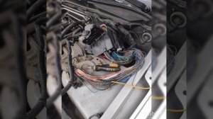 Suzuki grand Vitara. Притащили не запускается. Куча ошибок. Ремонт проводки.