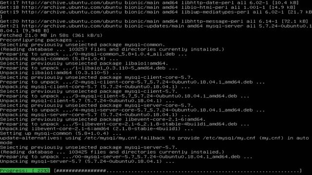 Install Web Server ~ Ubuntu Server 18.04 LTS (Part 3) смотреть онлайн