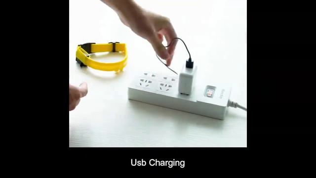 Оригинальный ошейник для собак смотреть онлайн