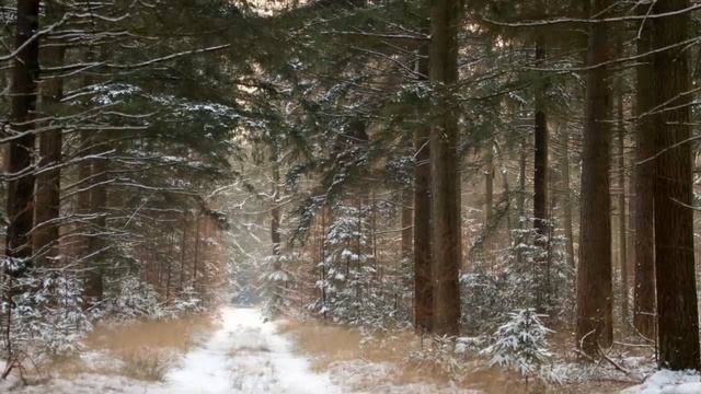 Молись так и получишь милость от Господа. Игумен Никон Воробьев. смотреть онлайн