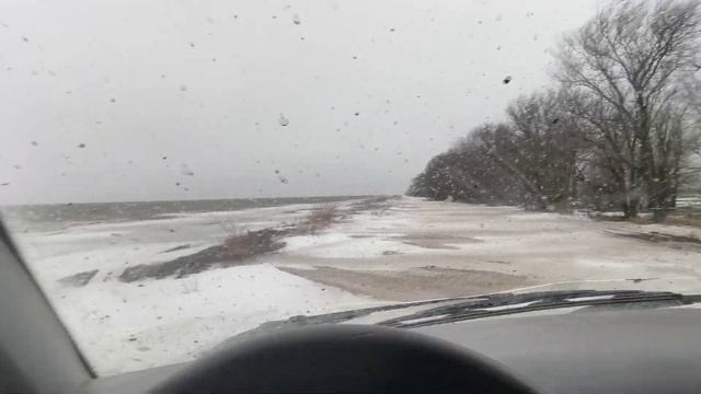 озимая пшеница в отличном состоянии 31 01 2021 смотреть онлайн