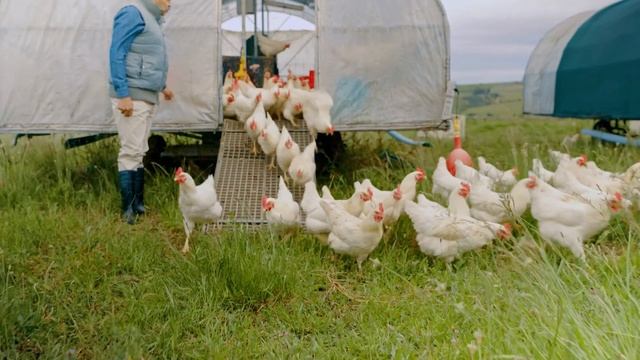 Inventing a food safe world with Kersia смотреть онлайн