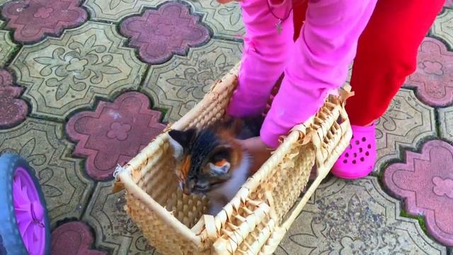 У Саши появился трехцветный котенок. Дети играют с котенком смотреть онлайн