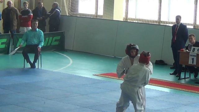 Чемпионат и Первенство Республики Марий-Эл по всестилевому каратэ 25 марта 2017г. смотреть онлайн