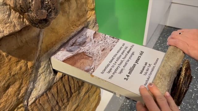 Новый год 2023 / Музей естественной истории / Главная елка страны смотреть онлайн