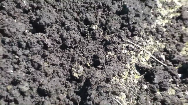 Мотобдлоки Каскад , Ока,сравнение смотреть онлайн