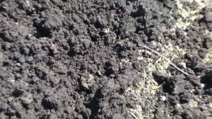 Мотобдлоки Каскад , Ока,сравнение