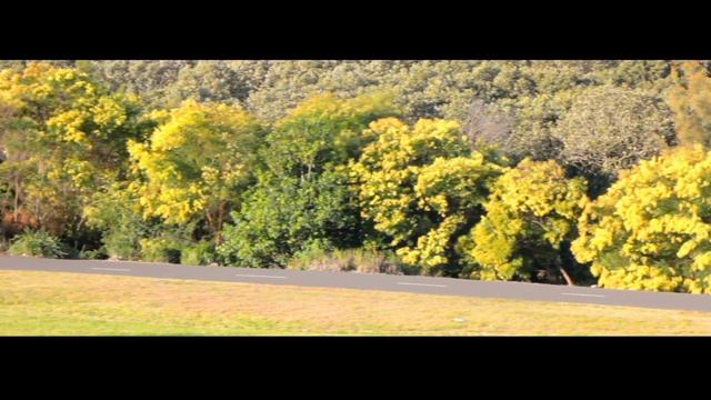 Canon M50 | Canon 60D Video смотреть онлайн