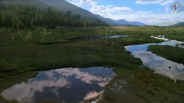 Взгляни на эту землю с высоты - Вероника Шихова (1080p 60fps) смотреть онлайн