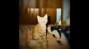 Gandagana Phonk /Georgian Folk