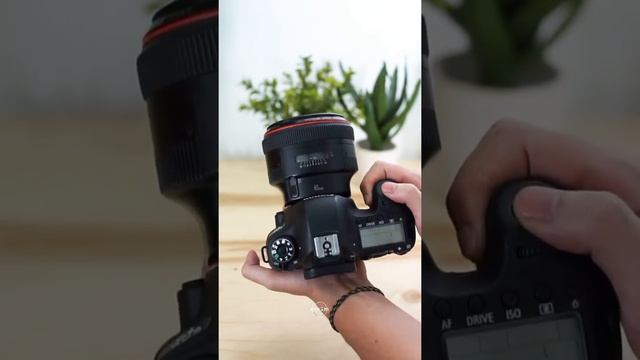 Canon Eos 6d with 85mm lens смотреть онлайн