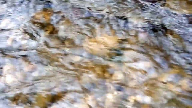 Погладил щуку смотреть онлайн