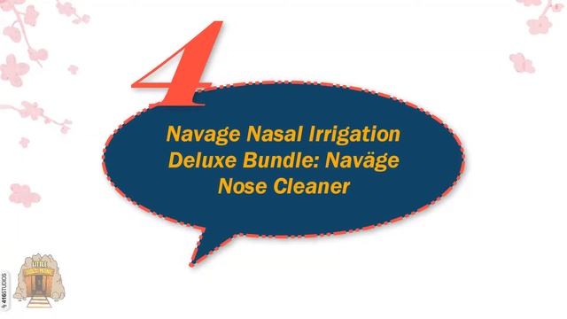 Top 5 Best Sinus Rinse Kits - Review And Buying Guide In 2023 смотреть онлайн