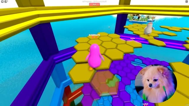 ПИНГВИНЫ В РОБЛОКС | НАУЧИЛАСЬ ЛЕТАТЬ! УЛЕТАЮ НА ДРУГОЙ ОСТРОВ | ROBLOX смотреть онлайн