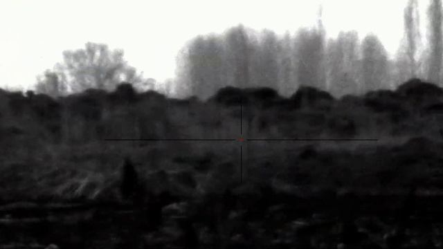 Ждал шакала... Вышли волки. смотреть онлайн