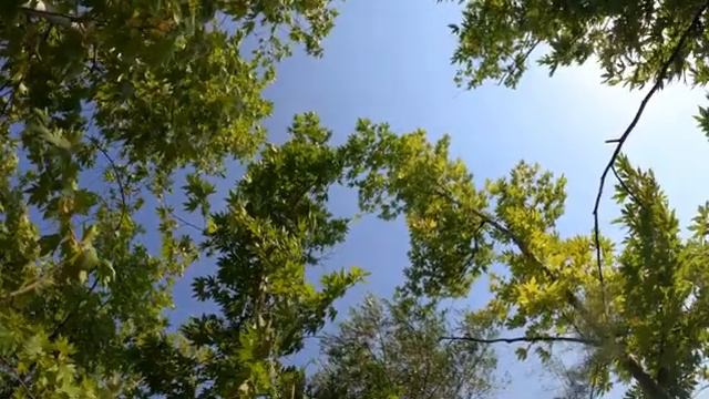 ДЖЕЙМС ЛАСТ  Greensleeves (Live)  James Last