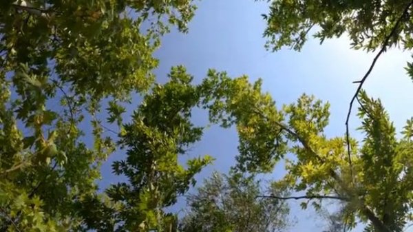 ДЖЕЙМС ЛАСТ Greensleeves (Live) James Last