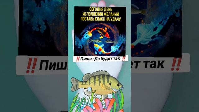 Подпишись на Богатство ??‼️ #деньги #заговор #заговоры #магия #обряды #приметы #ритуал #ритуалы смотреть онлайн