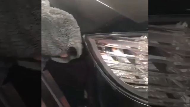 КАК ПОМЫТЬ МАШИНУ БЕЗ РАЗВОДОВ / ГРИНВЭЙ/GREENWAY смотреть онлайн