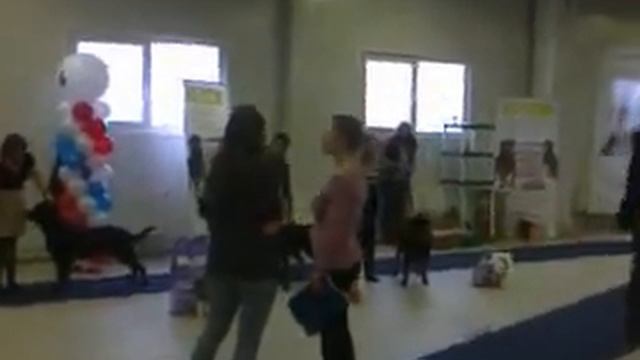 Сравнение на ЛПП, моно 20.01.13.3gp смотреть онлайн