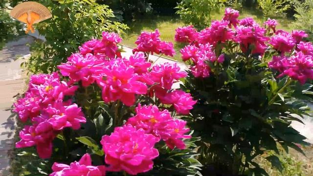 Август смотреть онлайн