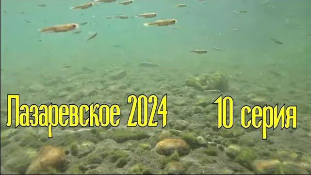 Лазаревское 2024⧸10 серия смотреть онлайн