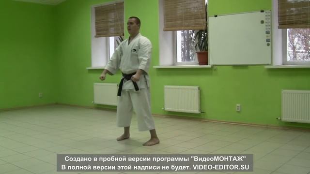 Школа каратэ Hungary город Владимир смотреть онлайн