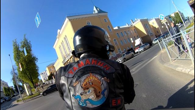 ёж вид сзади