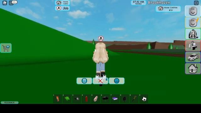 Какие есть секреты в Brookhaven RP ROBLOX смотреть онлайн