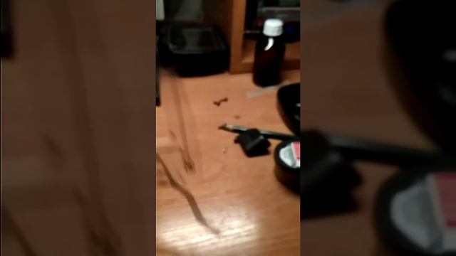 Ремонт кнопок Fisher f22 своими руками.repair buttons with your hands. смотреть онлайн