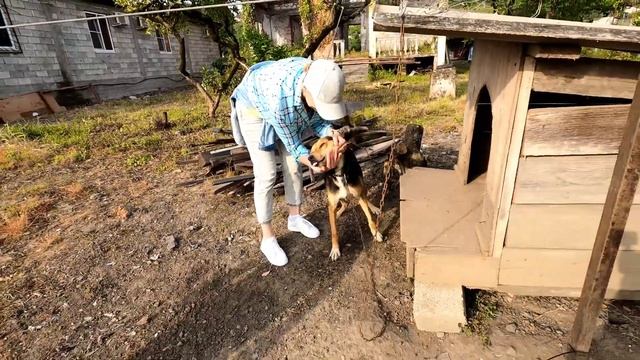 #Абхазия #Экскурсия #жилье смотреть онлайн