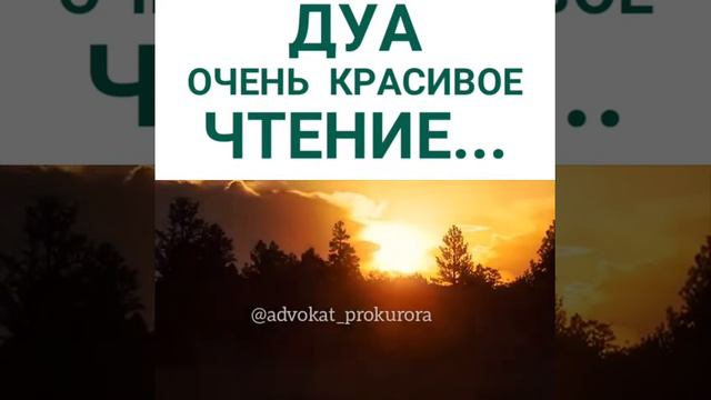 Дуа очень красивое Чтение 2019 смотреть онлайн