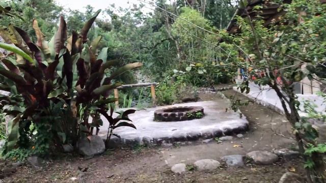 Кухонные Профи