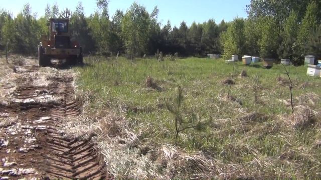 Подготовка места под пасеку смотреть онлайн