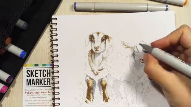 How TO DRAW cute goats with MARKERS by Stasushka | как нарисовать козлят маркерами смотреть онлайн