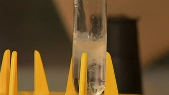 Видеоопыты. Неорганика 37. Получение и химические свойства амфотерных оснований смотреть онлайн