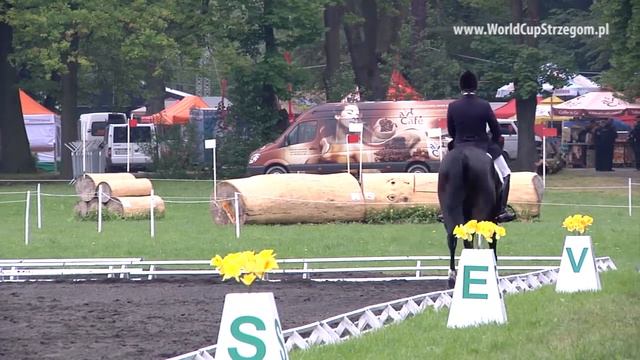 SHT 2013 Artur SPOŁOWICZ Dressage + Interview смотреть онлайн