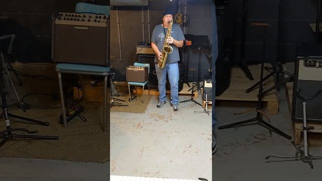 Jungleland Saxophone Instrumental Solo (Cover) смотреть онлайн