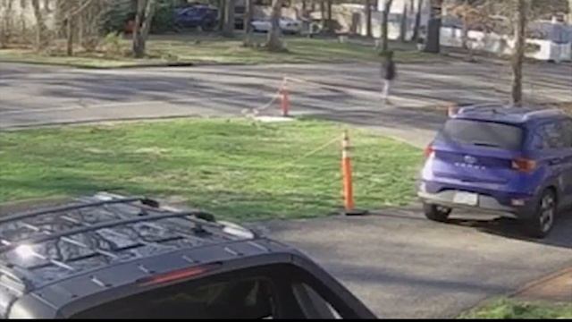 Homeowner says puppy was snatched from Central Islip backyard смотреть онлайн